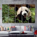 Panda Eating Eucalyptus 5 Pieces B Canvas Prints Wall Art - Painting Canvas, Multi Panel, Wall Decor, Canvas Art
