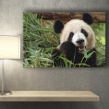 Panda Eating Eucalyptus Canvas Prints Wall Art - Painting Canvas, Wall Decor, Canvas Art, For Sale