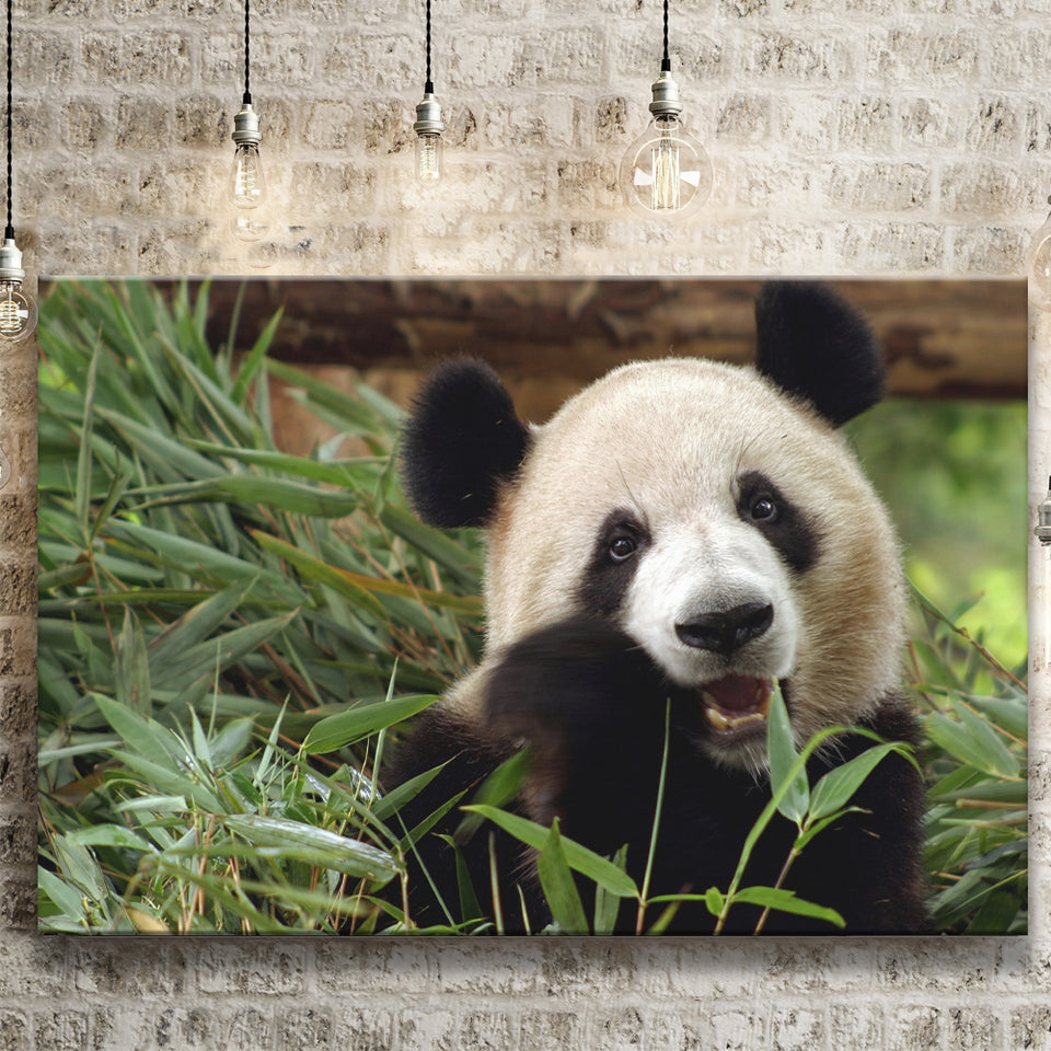 Panda Eating Eucalyptus Canvas Prints Wall Art - Painting Canvas, Wall Decor, Canvas Art, For Sale