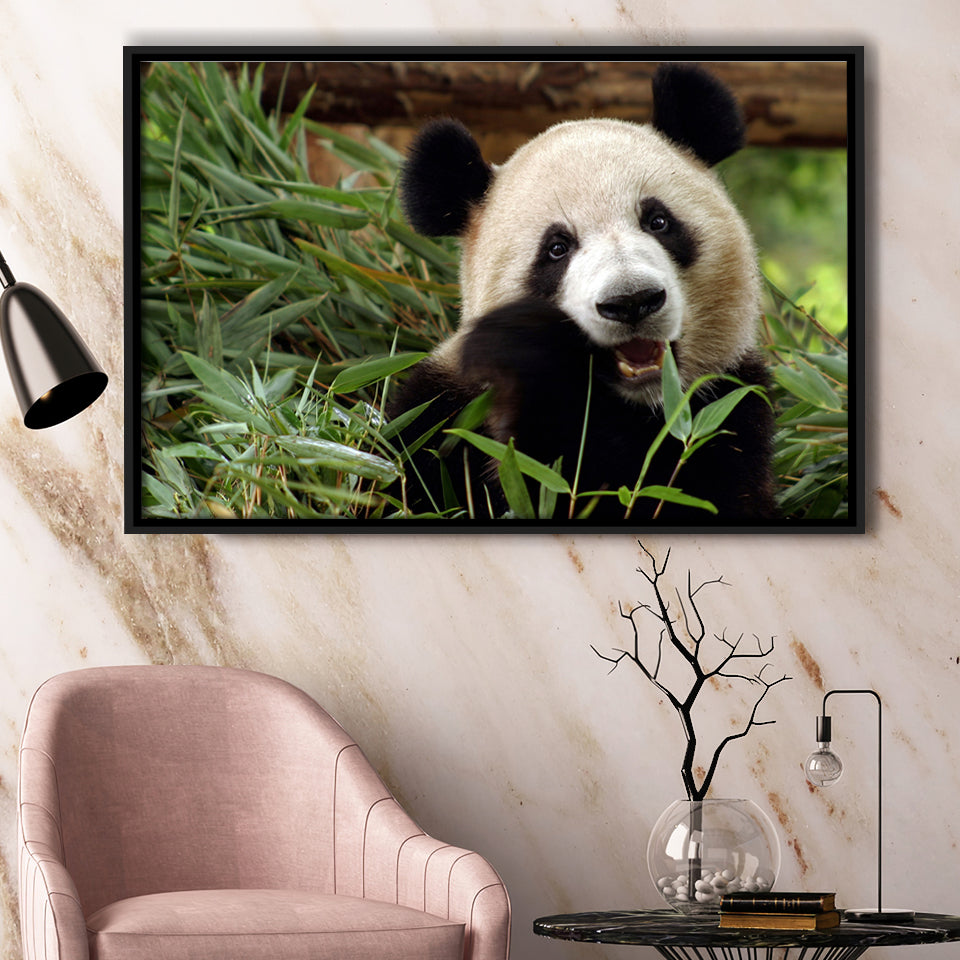Panda Eating Eucalyptus Framed Canvas Prints Wall Art - Painting Canvas, Wall Decor, Canvas Art, Floating Frame