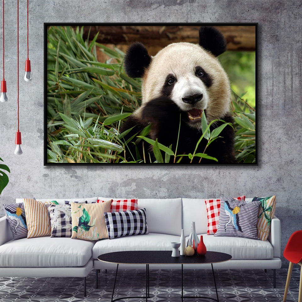 Panda Eating Eucalyptus Framed Canvas Prints Wall Art - Painting Canvas, Wall Decor, Canvas Art, Floating Frame
