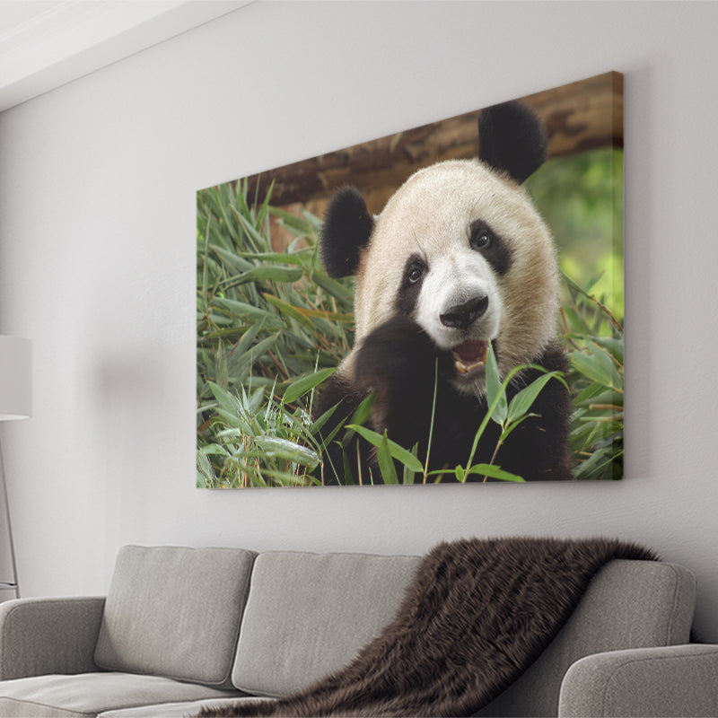 Panda Eating Eucalyptus Canvas Prints Wall Art - Painting Canvas, Wall Decor, Canvas Art, For Sale