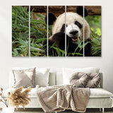 Panda Eating Eucalyptus 5 Pieces B Canvas Prints Wall Art - Painting Canvas, Multi Panel, Wall Decor, Canvas Art