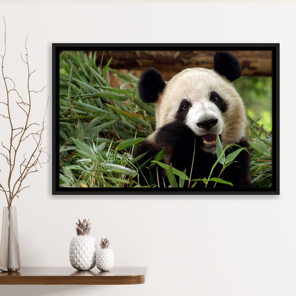 Panda Eating Eucalyptus Framed Canvas Prints Wall Art - Painting Canvas, Wall Decor, Canvas Art, Floating Frame