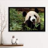 Panda Eating Eucalyptus Framed Canvas Prints Wall Art - Painting Canvas, Wall Decor, Canvas Art, Floating Frame