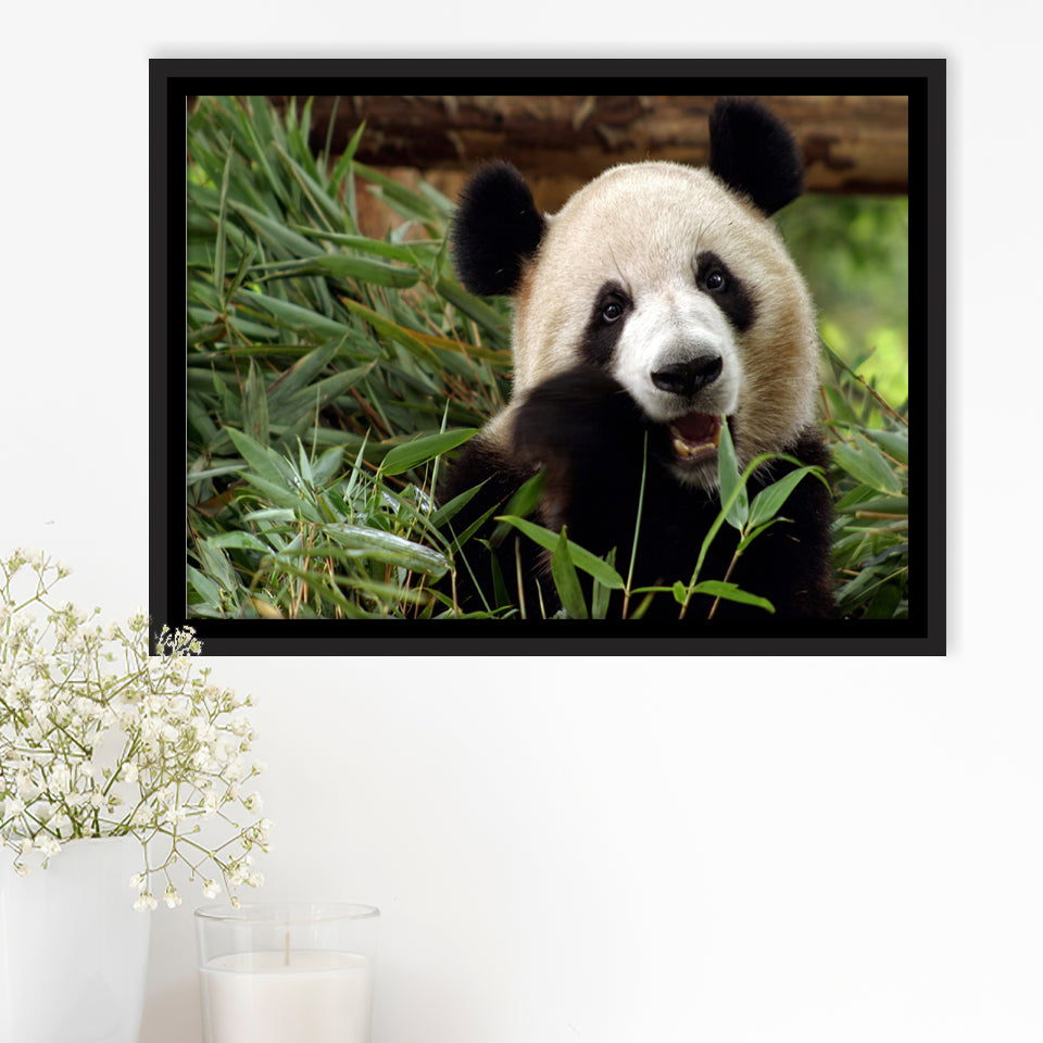 Panda Eating Eucalyptus Framed Canvas Prints Wall Art - Painting Canvas, Wall Decor, Canvas Art, Floating Frame