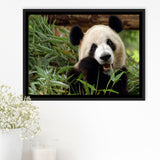 Panda Eating Eucalyptus Framed Canvas Prints Wall Art - Painting Canvas, Wall Decor, Canvas Art, Floating Frame