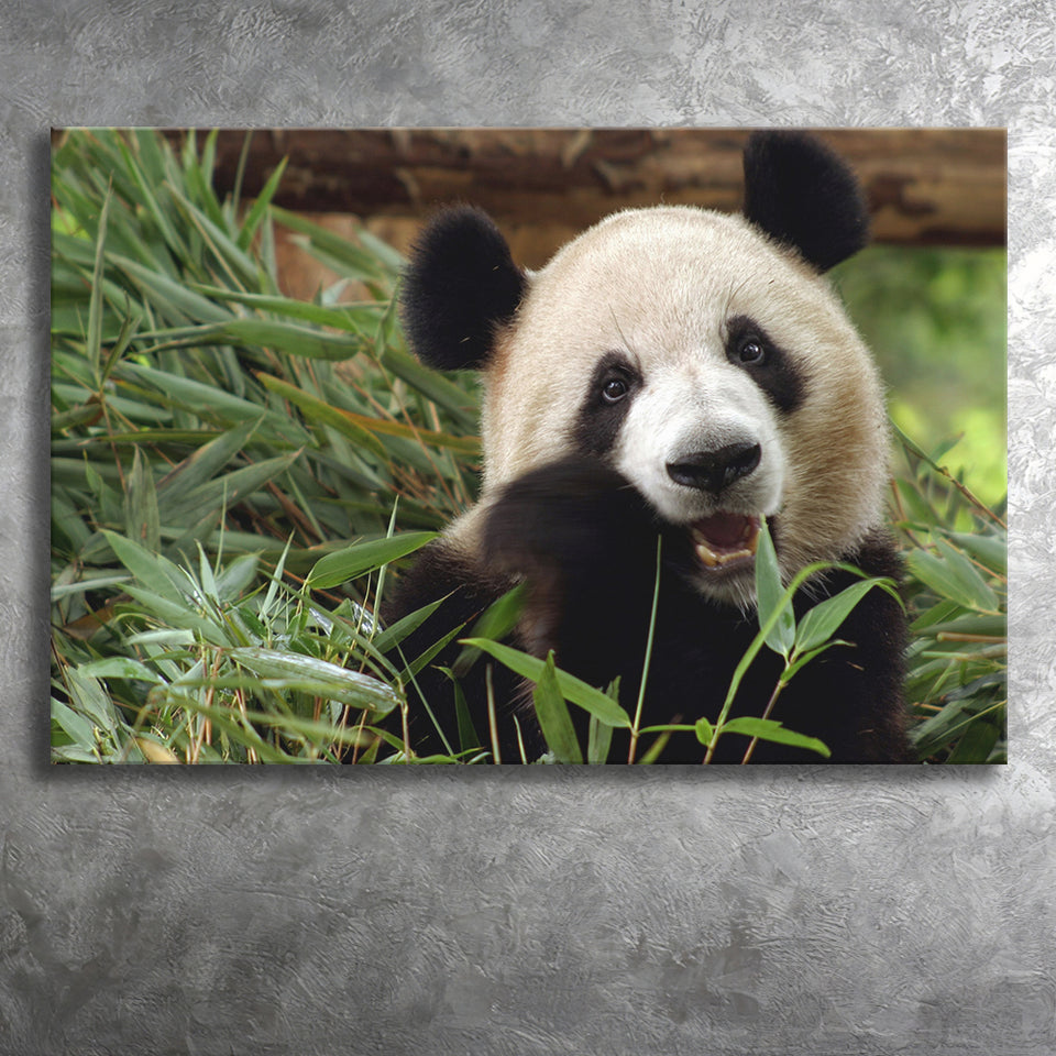 Panda Eating Eucalyptus Canvas Prints Wall Art - Painting Canvas, Wall Decor, Canvas Art, For Sale