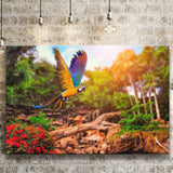 Parrot Jungle Canvas Prints Wall Art Decor - Painting Canvas,Home Decor, Ready to Hang