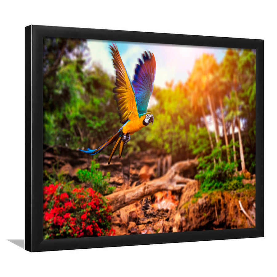 Parrot Jungle Framed Art Prints Wall Art Decor, Framed Picture, Home Decor