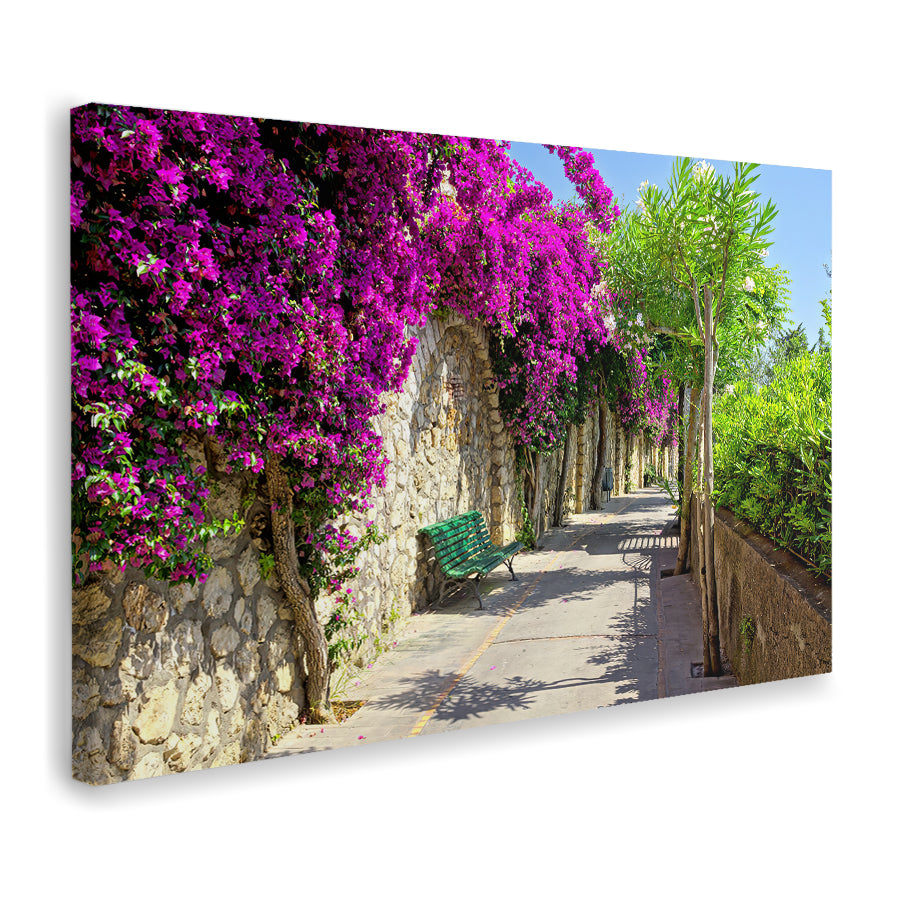 Pathway In Capri Canvas Wall Art - Canvas Prints, Prints for Sale, Canvas Painting, Canvas On Sale