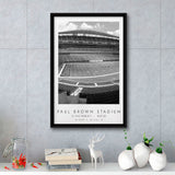 Paul Brown Stadium Cincinnati Bengals Black And White Art Framed Canvas Prints Wall Art Home Decor, Floating Frame