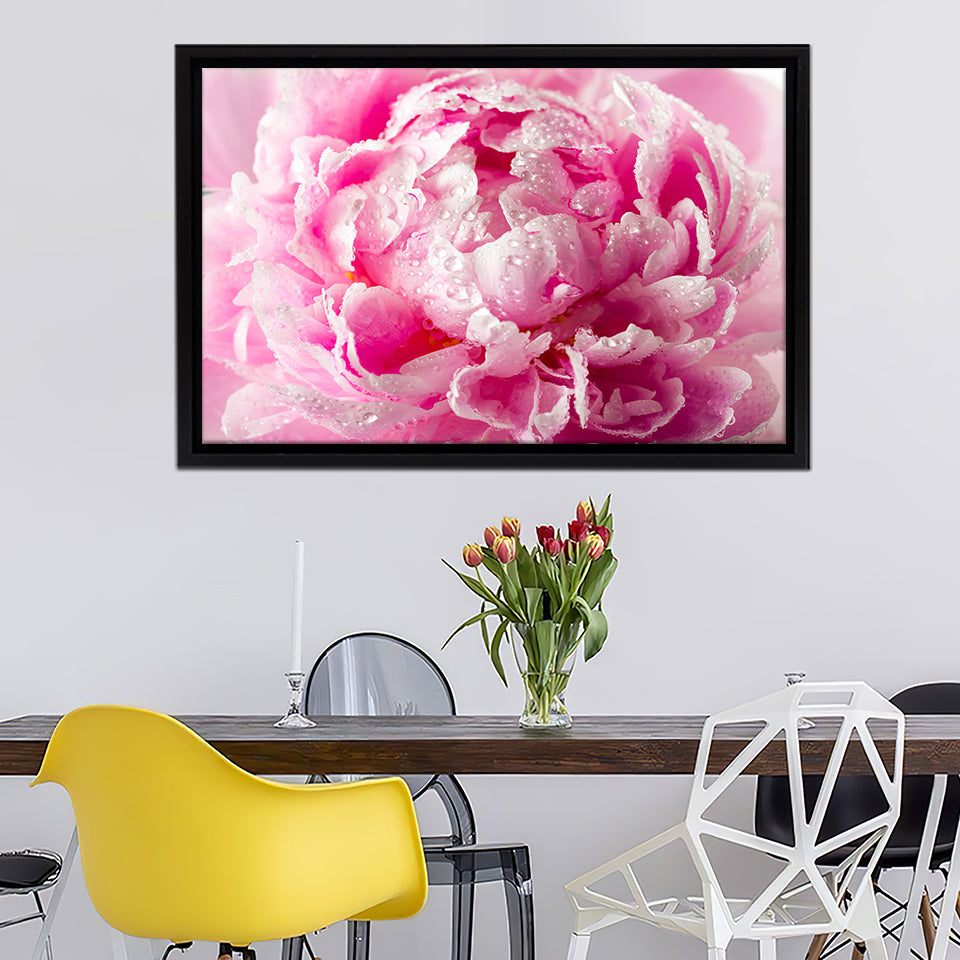 Peony With Drops Of Dew Framed Canvas Wall Art - Framed Prints, Canvas Prints, Prints for Sale, Canvas Painting