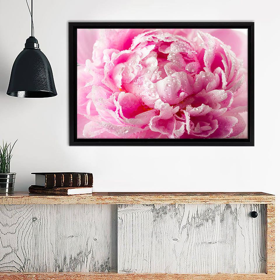Peony With Drops Of Dew Framed Canvas Wall Art - Framed Prints, Canvas Prints, Prints for Sale, Canvas Painting