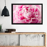 Peony With Drops Of Dew Framed Canvas Wall Art - Framed Prints, Canvas Prints, Prints for Sale, Canvas Painting