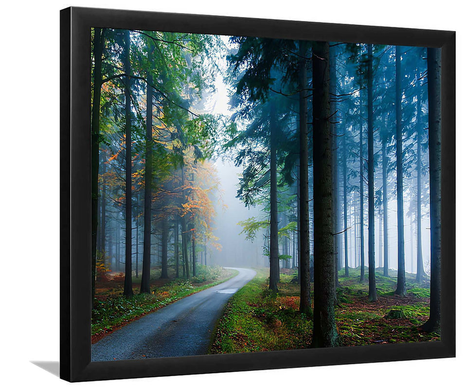 Pine Tree Morning-Forest art, Art print, Plexiglass Cover