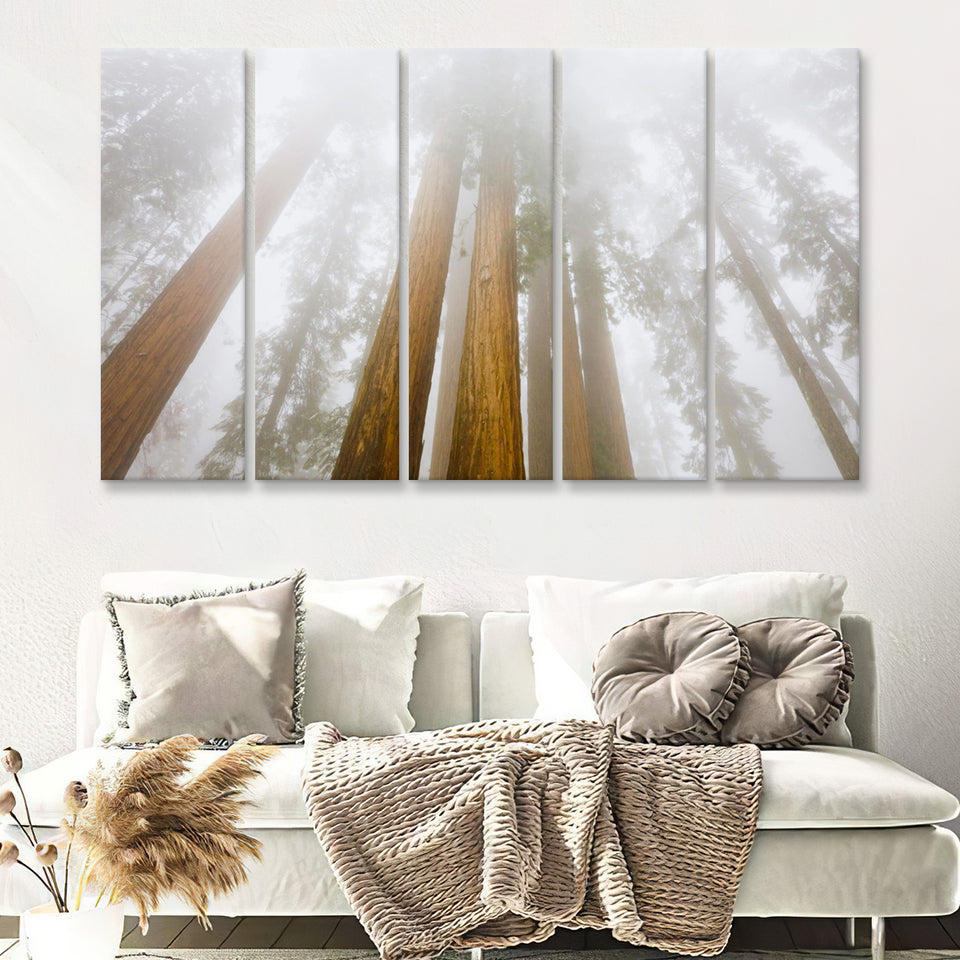 Pine Trees W Fogs In National Park 5 Pieces B Canvas Prints Wall Art - Painting Canvas, Multi Panels,5 Panel, Wall Decor