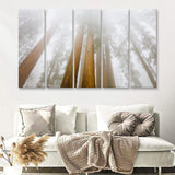 Pine Trees W Fogs In National Park 5 Pieces B Canvas Prints Wall Art - Painting Canvas, Multi Panels,5 Panel, Wall Decor