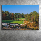 Pine Valley Golf Club Hole 18 Pine Valley Golf Courses, Pine Valley, New Jersey, Golf Art Print, Canvas Prints Wall Art Decor