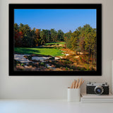 Pine Valley Golf Club Hole 18 Pine Valley Golf Courses, Pine Valley, New Jersey, Golf Sport Print, Framed Art Prints Home Decor