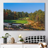 Pine Valley Golf Club Hole 18 Pine Valley Golf Courses, Pine Valley, New Jersey, Golf Art Print, Canvas Prints Wall Art Decor