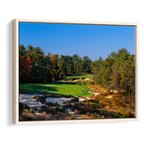 Pine Valley Golf Club Hole 18 Pine Valley Golf Courses, Pine Valley, New Jersey, Framed Canvas Prints Wall Art Decor