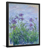 Pink-Purple Irises By Claude Monet-Art Print,Frame Art,Plexiglass Cover