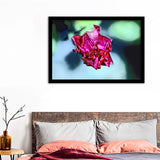 Pink Rose On Bush Framed Wall Art - Framed Prints, Art Prints, Print for Sale, Painting Prints