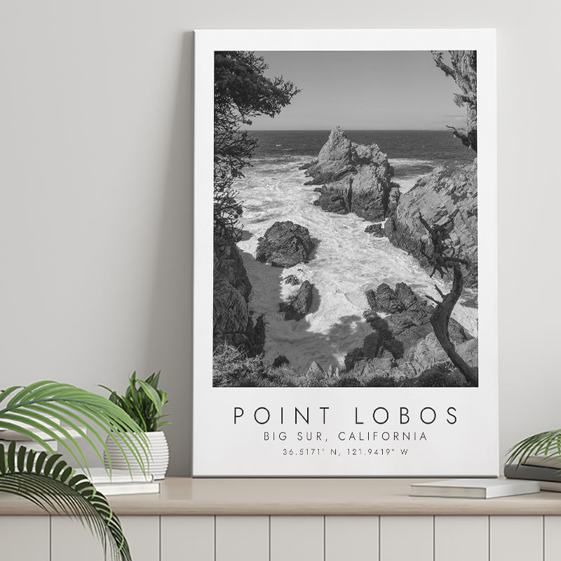 Point Lobos Big Sur California Black And White Art Canvas Prints Wall Art Home Decor