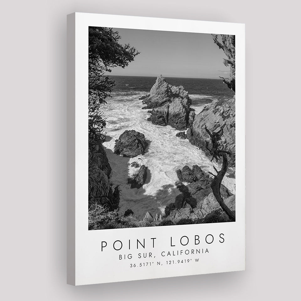 Point Lobos Big Sur California Black And White Art Canvas Prints Wall Art Home Decor