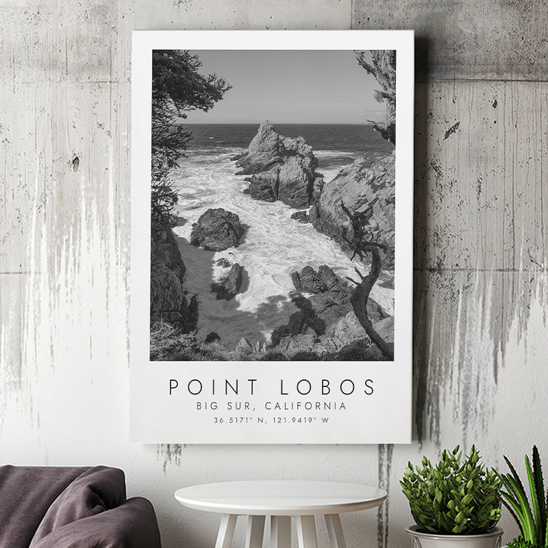 Point Lobos Big Sur California Black And White Art Canvas Prints Wall Art Home Decor