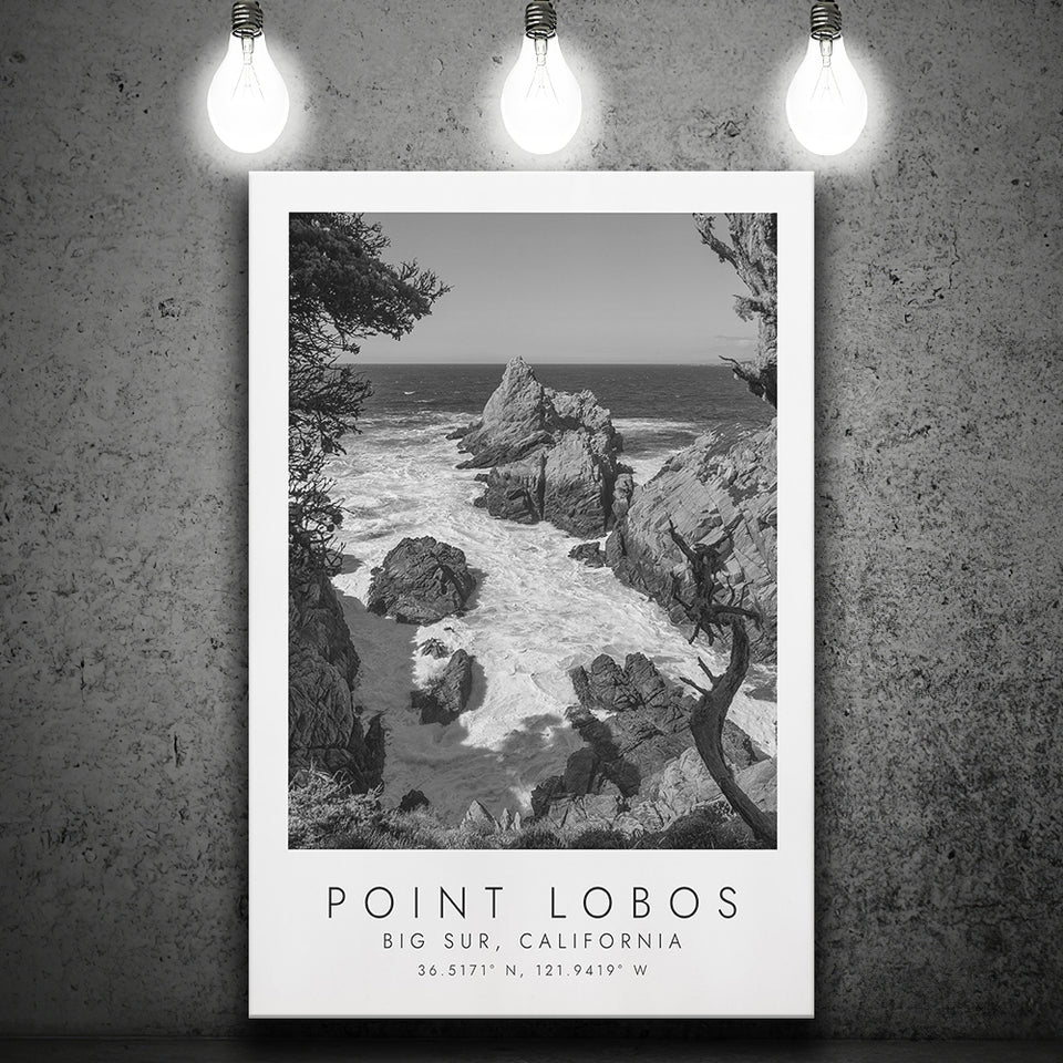 Point Lobos Big Sur California Black And White Art Canvas Prints Wall Art Home Decor