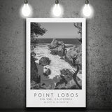 Point Lobos Big Sur California Black And White Art Canvas Prints Wall Art Home Decor