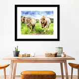 Ponies On Bodmin Moor In Cornwall Framed Wall Art - Framed Prints, Art Prints, Home Decor, Painting Prints