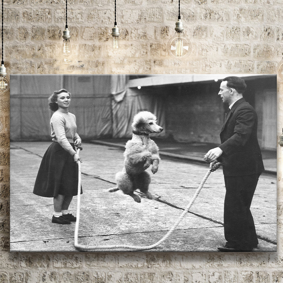 Poodle Jump Rope Black And White Print, French Poodle Canvas Prints Wall Art Home Decor