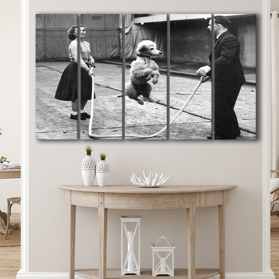 Poodle Jump Rope Black And White Print, French Poodle Larger Canvas Art, 5 Piece Canvas Prints Wall Art Decor