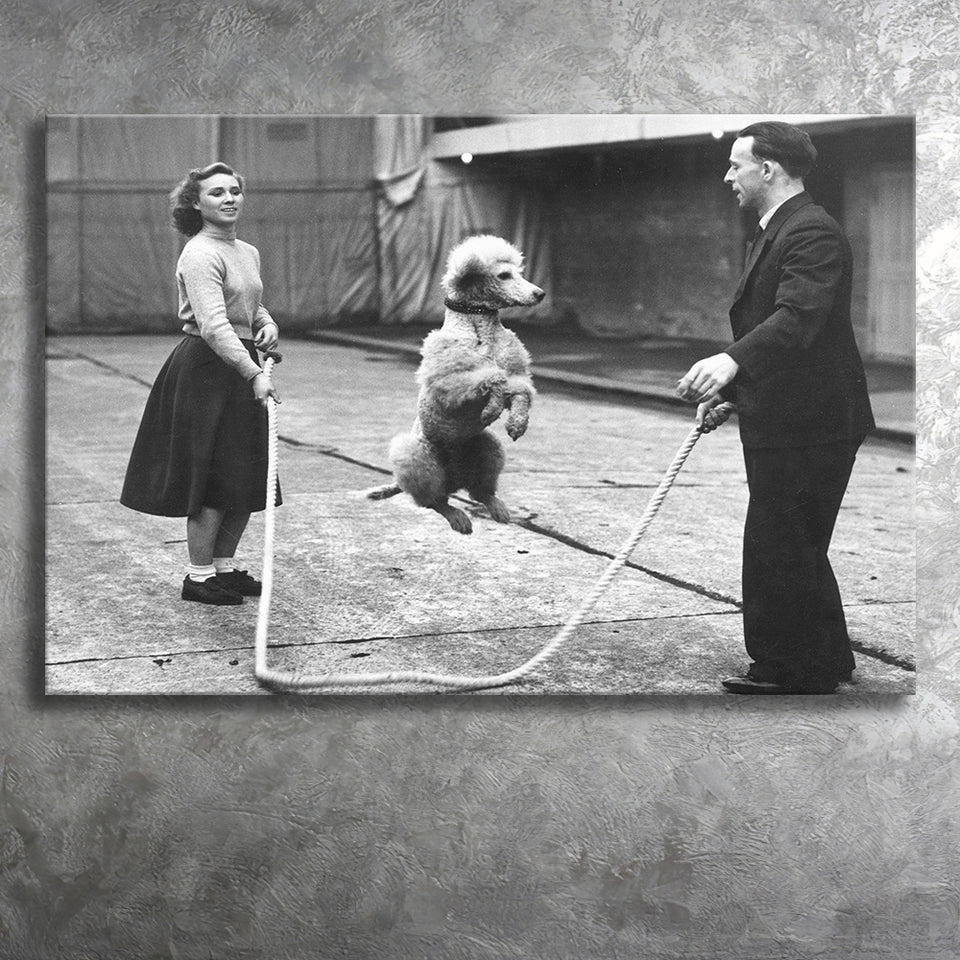 Poodle Jump Rope Black And White Print, French Poodle Canvas Prints Wall Art Home Decor