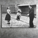Poodle Jump Rope Black And White Print, French Poodle Canvas Prints Wall Art Home Decor