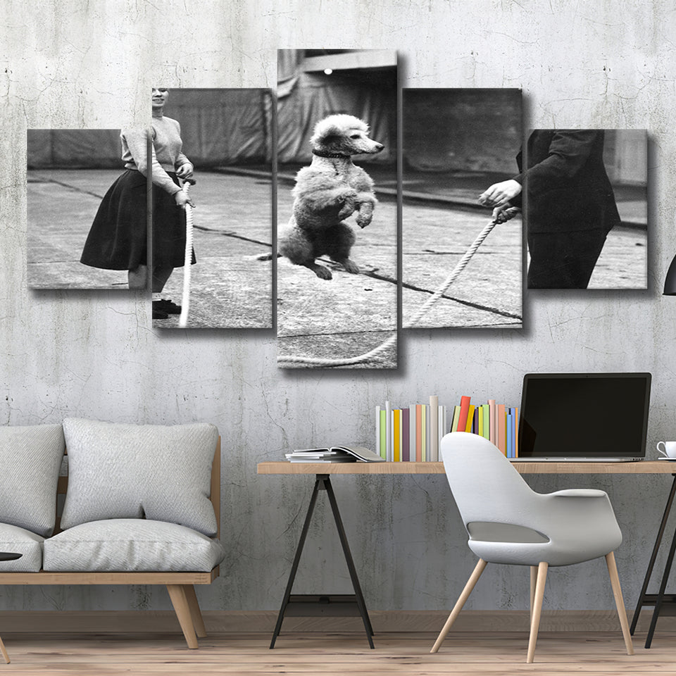 Poodle Jump Rope Black And White Print, French Poodle 5 Panels, Canvas Prints Wall Art Decor, Large Canvas Art