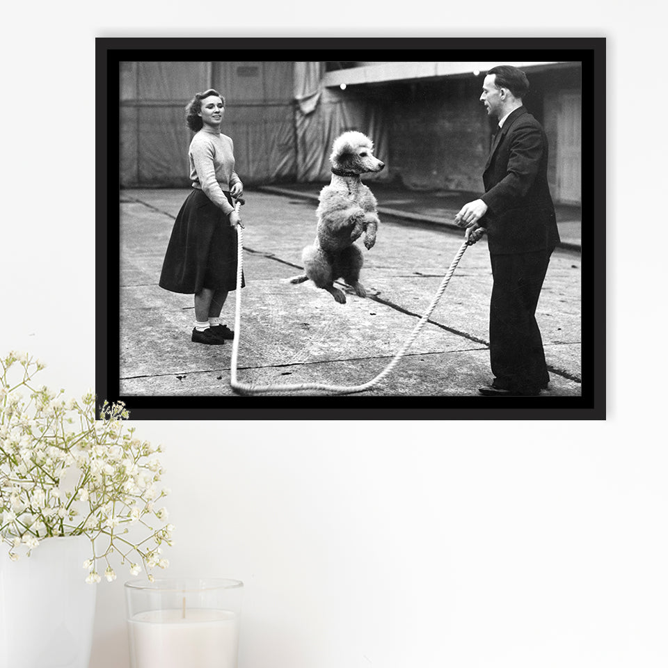 Poodle Jump Rope Black And White Print, French Poodle Framed Canvas Prints Wall Art Home Decor,Floating Frame