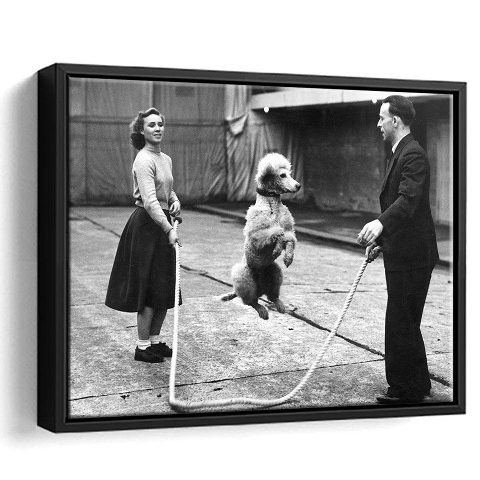 Poodle Jump Rope Black And White Print, French Poodle Framed Canvas Prints Wall Art Home Decor,Floating Frame