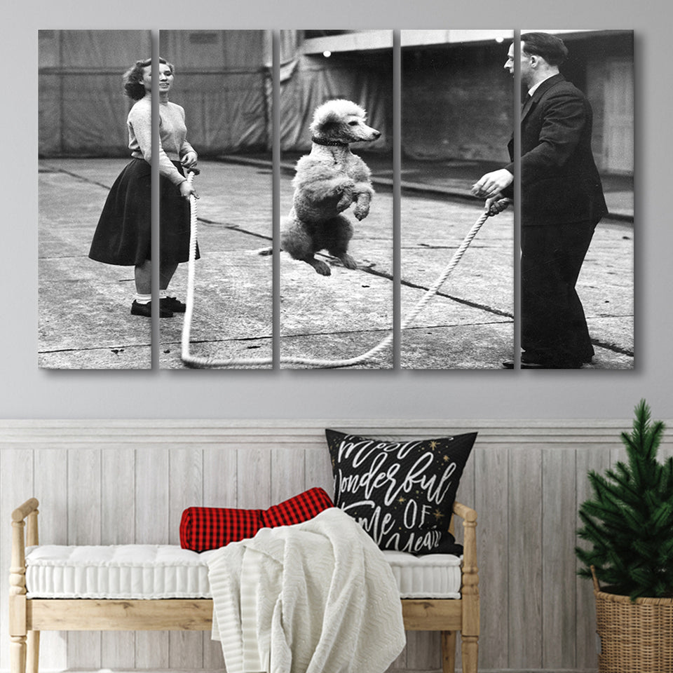 Poodle Jump Rope Black And White Print, French Poodle Larger Canvas Art, 5 Piece Canvas Prints Wall Art Decor