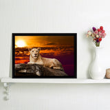 Portrait Of Lioness Framed Canvas Wall Art - Framed Prints, Canvas Prints, Prints for Sale, Canvas Painting