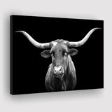 Portrait Of Texas Longhorn Cow With A Black Background Canvas Prints Wall Art - Painting Canvas,Wall Decor,Art Print,Home Decor