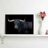 Portrait Of A Bull With Black Background Framed Canvas Wall Art - Framed Prints, Canvas Prints, Prints for Sale, Canvas Painting