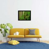Princess Louisa Inlet Forest-Forest art, Art print, Plexiglass Cover