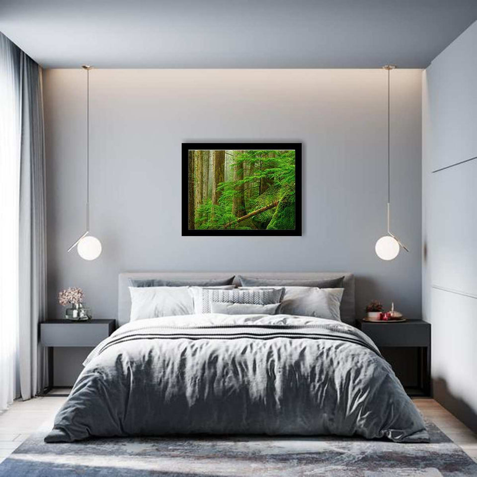 Princess Louisa Inlet Forest-Forest art, Art print, Plexiglass Cover