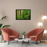 Princess Louisa Inlet Forest-Forest art, Art print, Plexiglass Cover