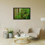 Princess Louisa Inlet Forest-Forest art, Art print, Plexiglass Cover