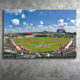 Principal Park, Stadium Canvas, Sport Art, Gift for him, Fan Gift, Canvas Prints Wall Art Decor